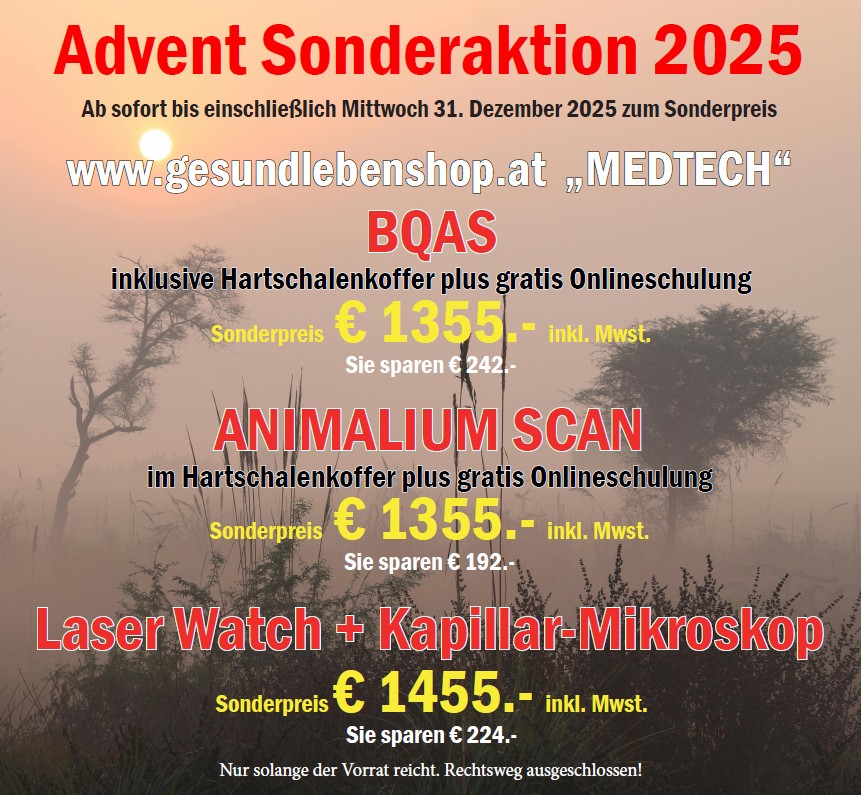 Advent2025_GNP
